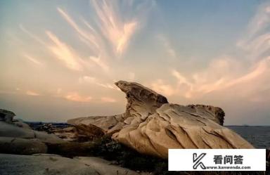 石狮的简介? 石狮的简介?