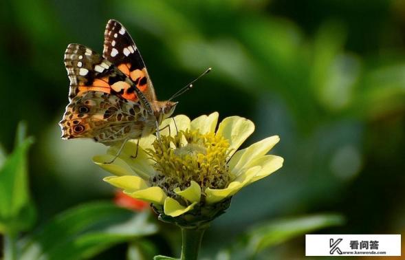 绿源d-s70配置？