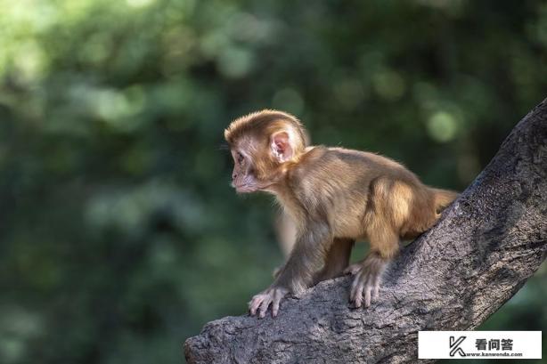 绿源d-s70配置？