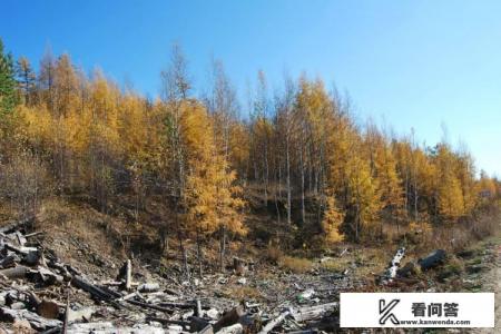 人的贪婪的心是不是永远满足不了？