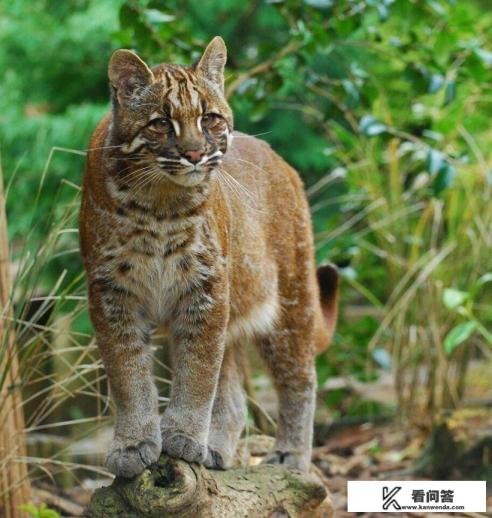 亚洲神秘之城涉及的地理知识？