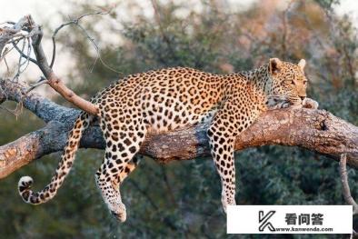 亚洲神秘之城涉及的地理知识？