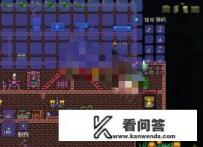 迷你鲨怎么获得？