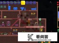 迷你鲨怎么获得？