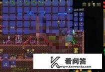 迷你鲨怎么获得？