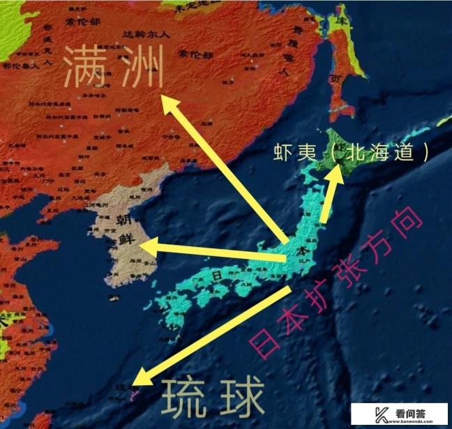 冬青与北海道哪个更适合家庭种植？