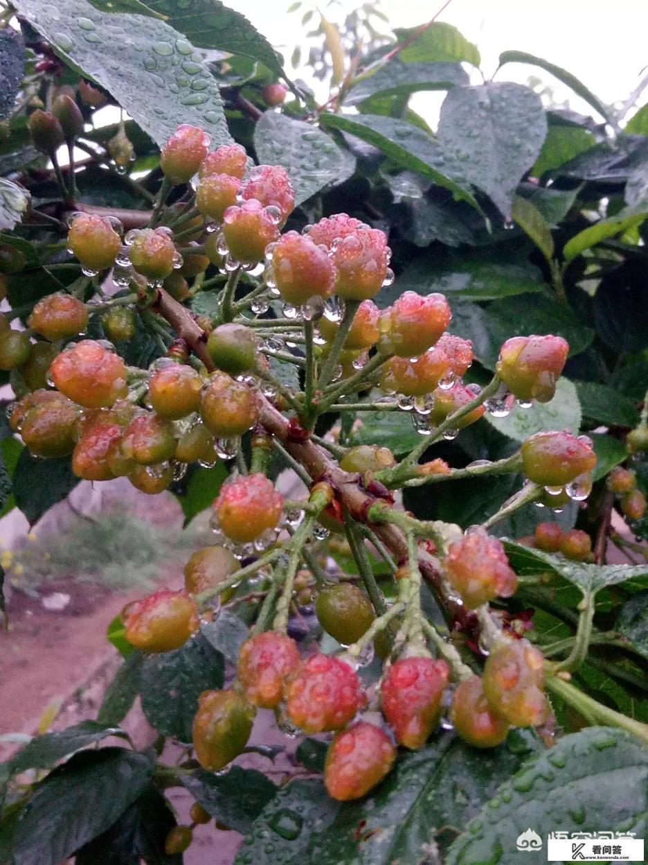 泰安现在的天气穿什么衣服合适？