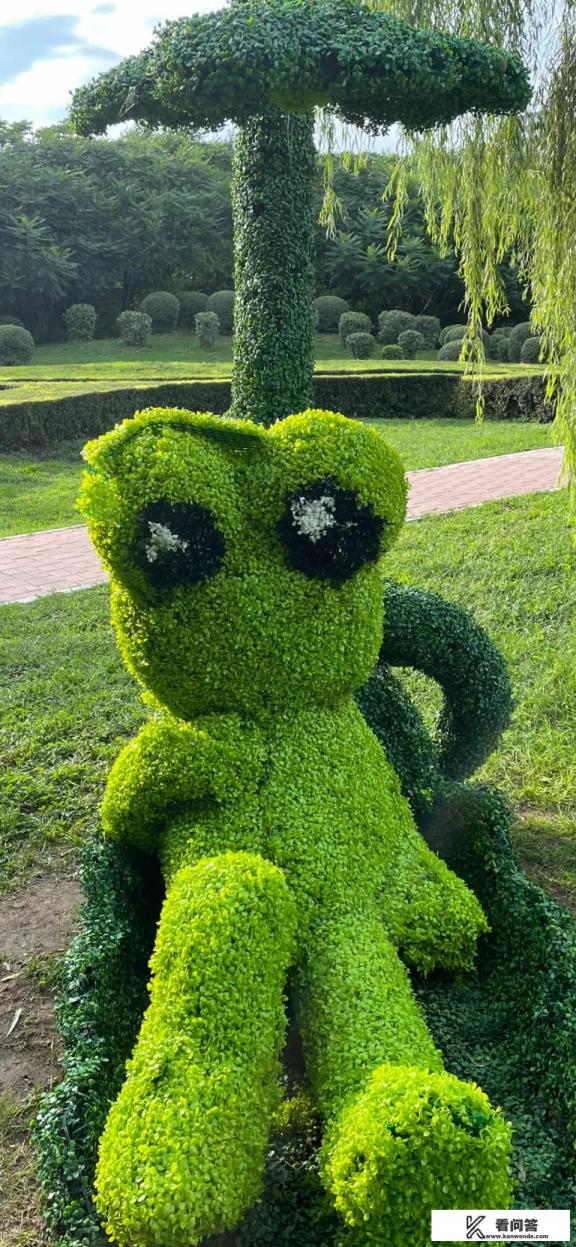 与君歌丽姑姑是谁扮演的？