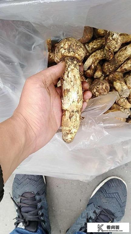 林芝地名的来由？