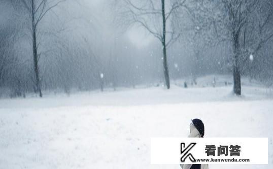 看雪是什么意思？探索看雪的深层含义，网络热词背后的文化与情感，深窥看雪，文化与情感交织的历史瞬间与现代解读