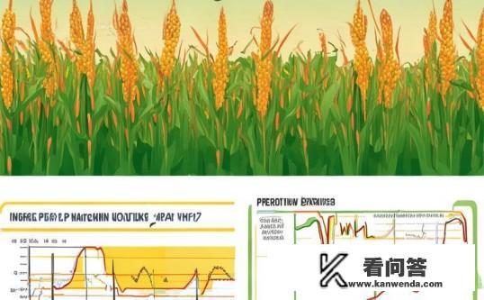 2023年玉米价格怎样？2023年玉米价格，市场走势与农民收益分析，2023年玉米价格预测，哪些因素影响其走势？农民收益如何衡量？