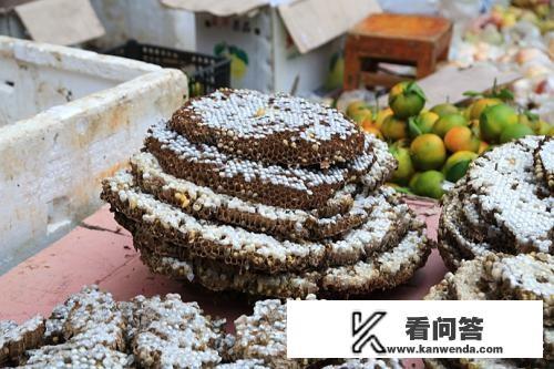 马蜂窝一般在什么地方？