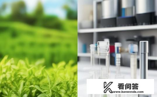 维他命E和维生素E有什么分别？维他命E与维生素E，两者有何不同？区别，维他命E来源及主要功效——在维持身体正常功能方面有何差异？