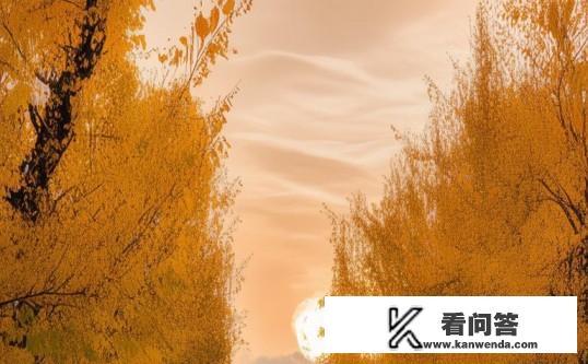 金华秋分后气温？秋分后，金华气温会如何变化？