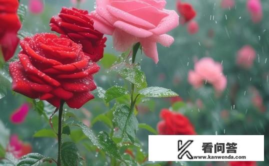 花都回南天天气什么时候结束？花都回南天何时收尾？