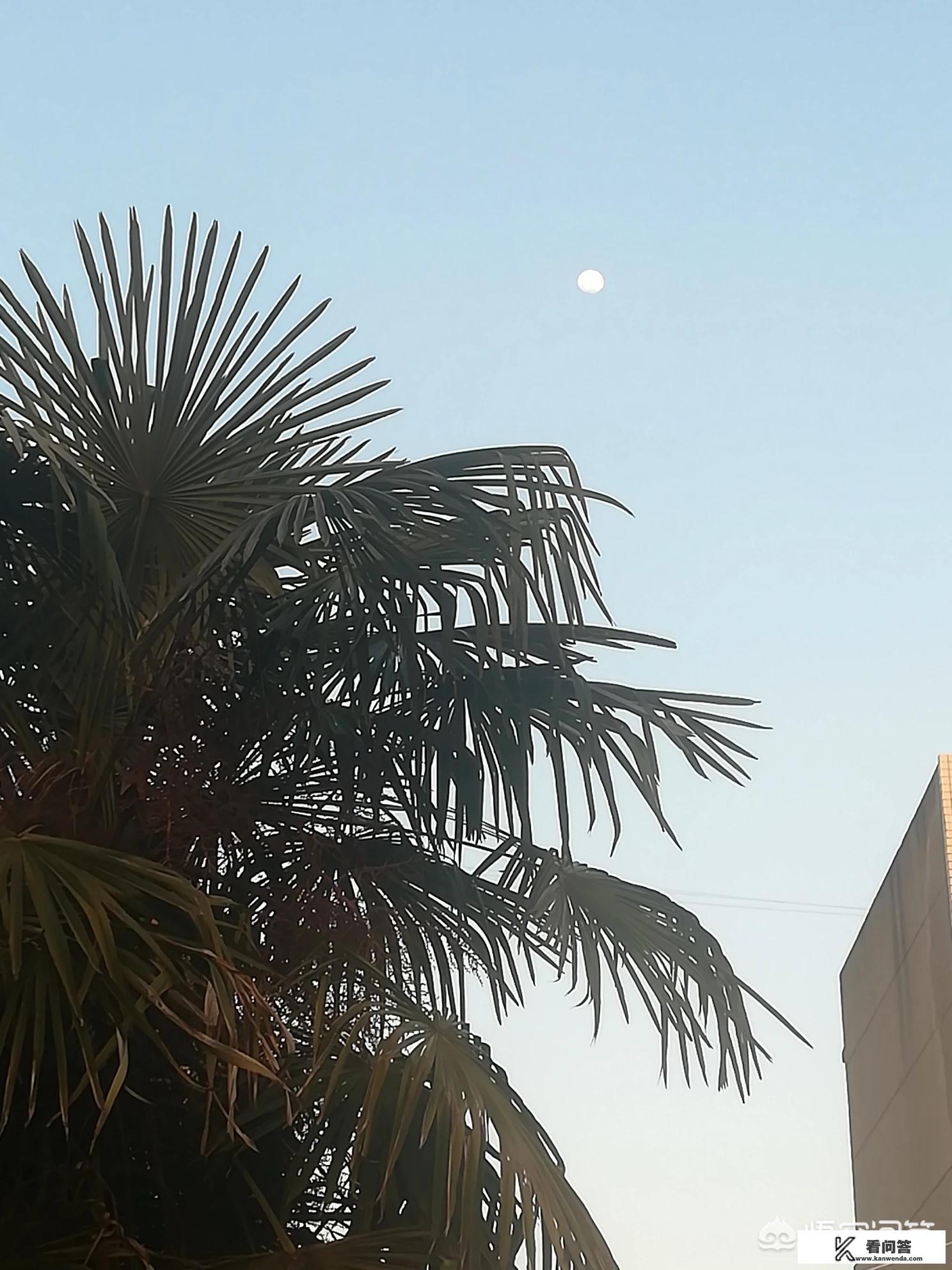 流浪武士左下角的红色图标是什么? 流浪武士左下角的红色图标是什么?