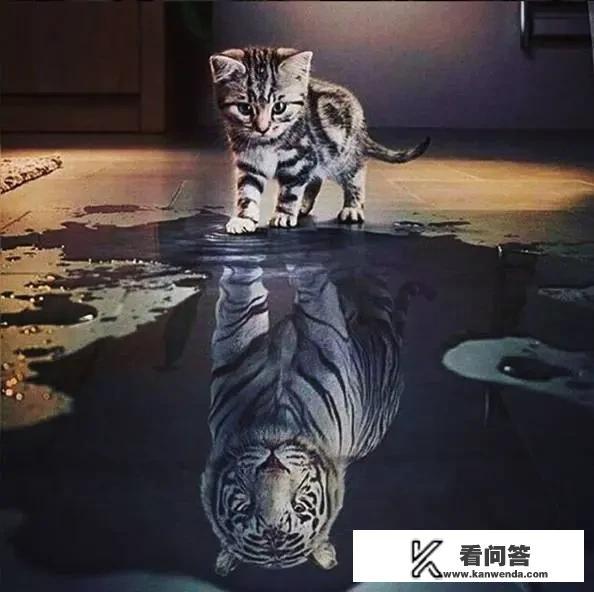 15岁男生浏览不良信息怎么处理？