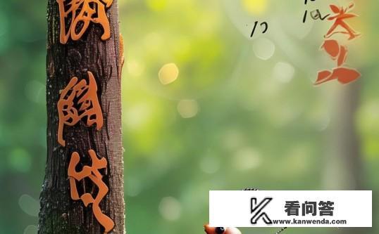 疯狂猜成语，木与行的智慧碰撞，木与行的智慧碰撞，成语猜猜乐