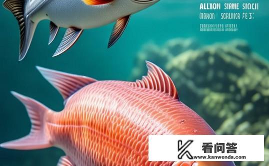 银鲑鱼与三文鱼区别？银鲑鱼VS三文鱼，营养、口感与价格差异揭秘