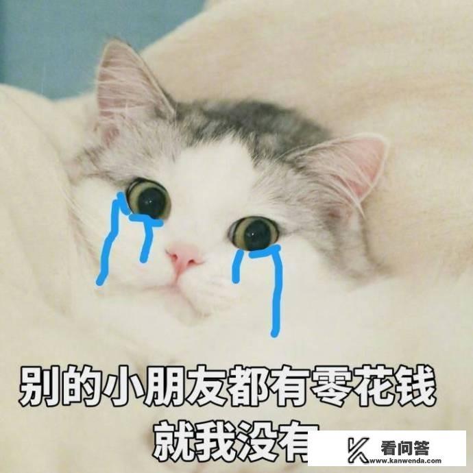 什么购物软件可以未成年人买飞机？