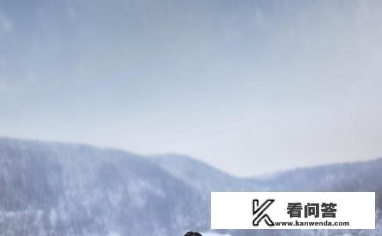 丁哲林傲雪的小说叫什么名?丁哲林傲雪的情缘,爱在冬日 丁哲林傲雪的小说叫什么名?丁哲林傲雪的情缘,爱在冬日