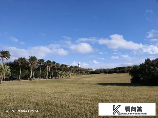 2021适合女生用的十大最好的手机？