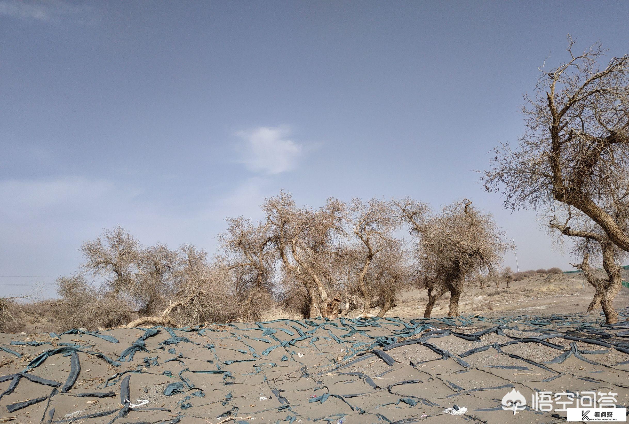 9月初去新疆旅游适合吗？