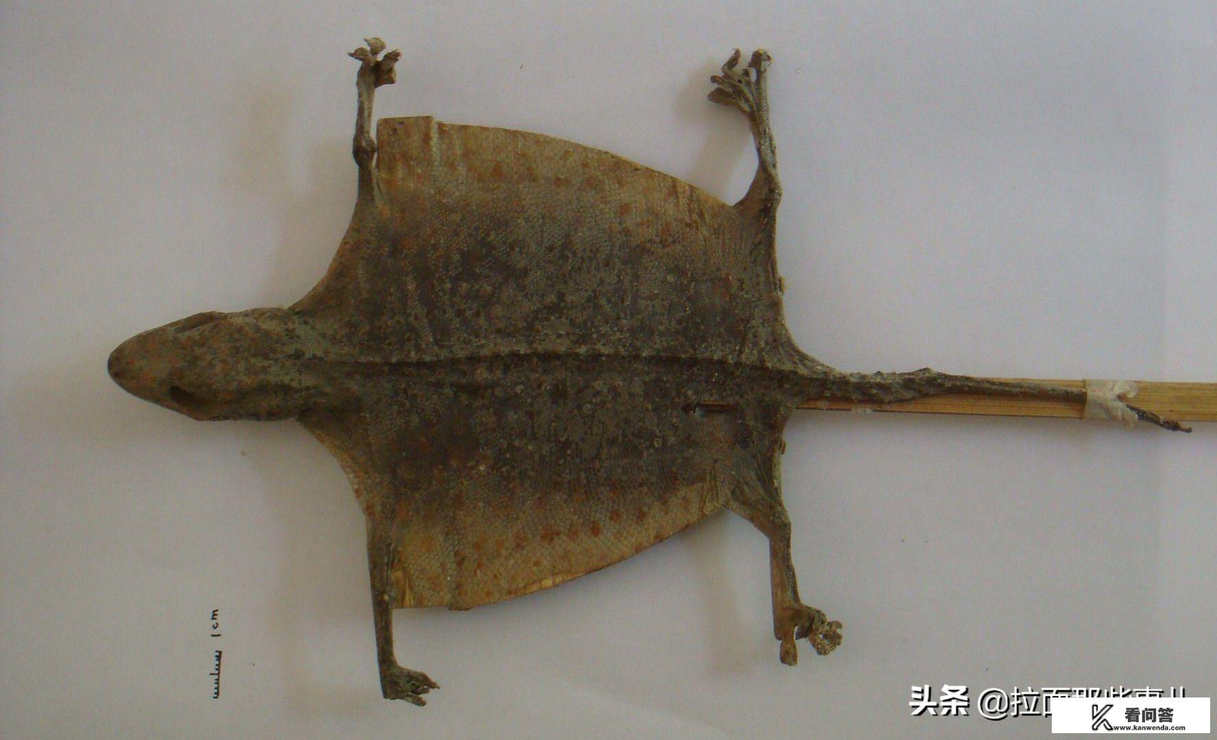 潮州一年四季天气大概怎样的? 潮州一年四季天气大概怎样的?