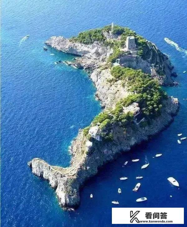 有一本小说是主角在海上有个岛屿建国？