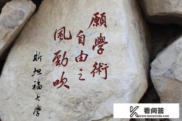 全球十大名校有哪几所？