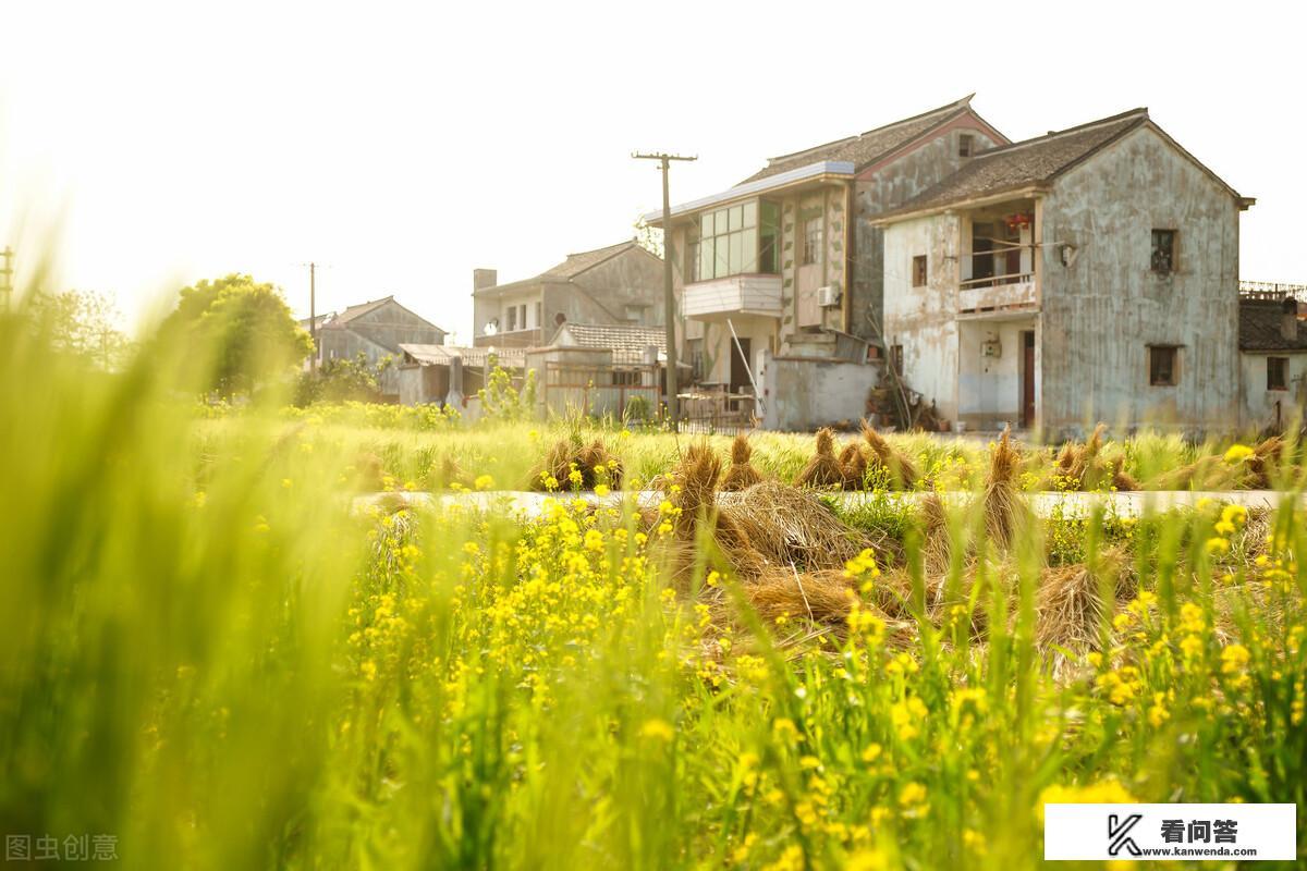 自由精神月季北方冬天室外能活吗？