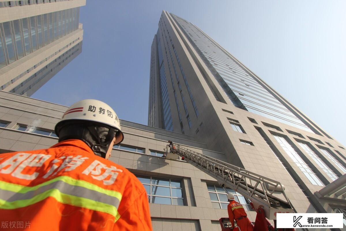 自由精神月季北方冬天室外能活吗？