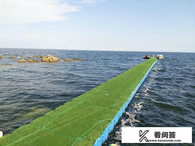 养马岛是个的吗？