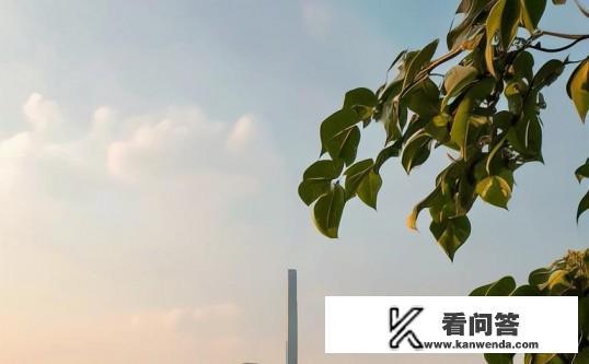 宁波市天气什么时候能冷下来？宁波市何时能迎来凉爽天气？