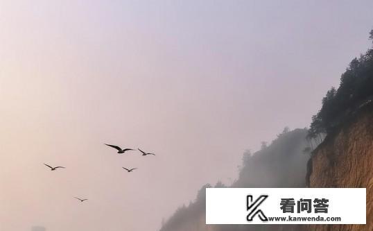 威海天气怎么样，冷不冷？威海当前天气状况，是否需要准备保暖衣物？