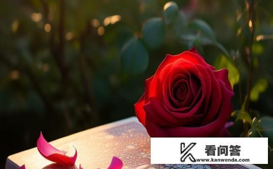 书名带花的小说？花语录中，哪朵花最能代表爱情的真谛？