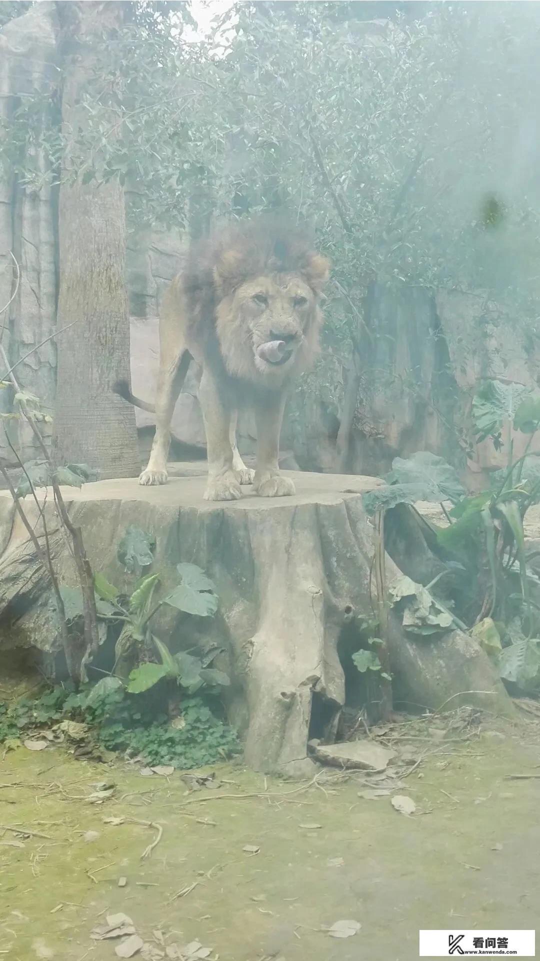 什么是动物园? 什么是动物园?