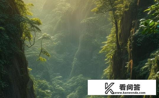 蛇岛探险，解锁神秘岛屿的终极攻略，蛇岛探险，解锁神秘岛屿的终极生存与探索指南