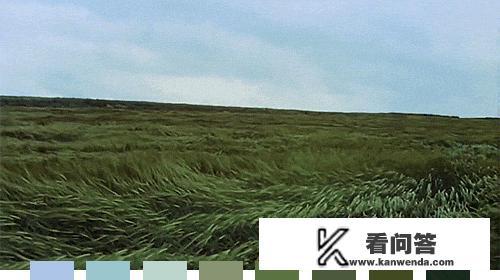 今天呼市的天气怎么雾特别大？
