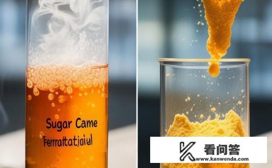 糖蜜发酵液干粉和液体哪种效果好？糖蜜发酵，干粉与液体，哪种更胜一筹？
