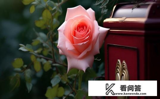 玫瑰与胸膛皆为殿下待命什么意思？玫瑰与胸膛，殿下待命，这背后的深意是什么？