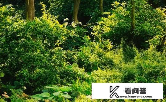 陈伤里面骆青禾宋霄复合了吗?陈伤中骆青禾和宋霄最终是否复合? 陈伤里面骆青禾宋霄复合了吗?陈伤中骆青禾和宋霄最终是否复合?