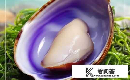 蛏子的营养价值，常吃蛏子对身体好？蛏子，营养价值高，常吃真的对身体有益吗？