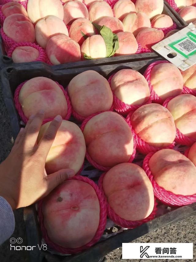 包头这个城市怎么样？