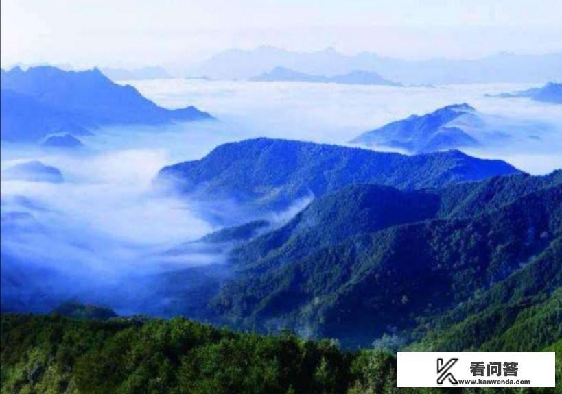 白云山是正规厂家吗？