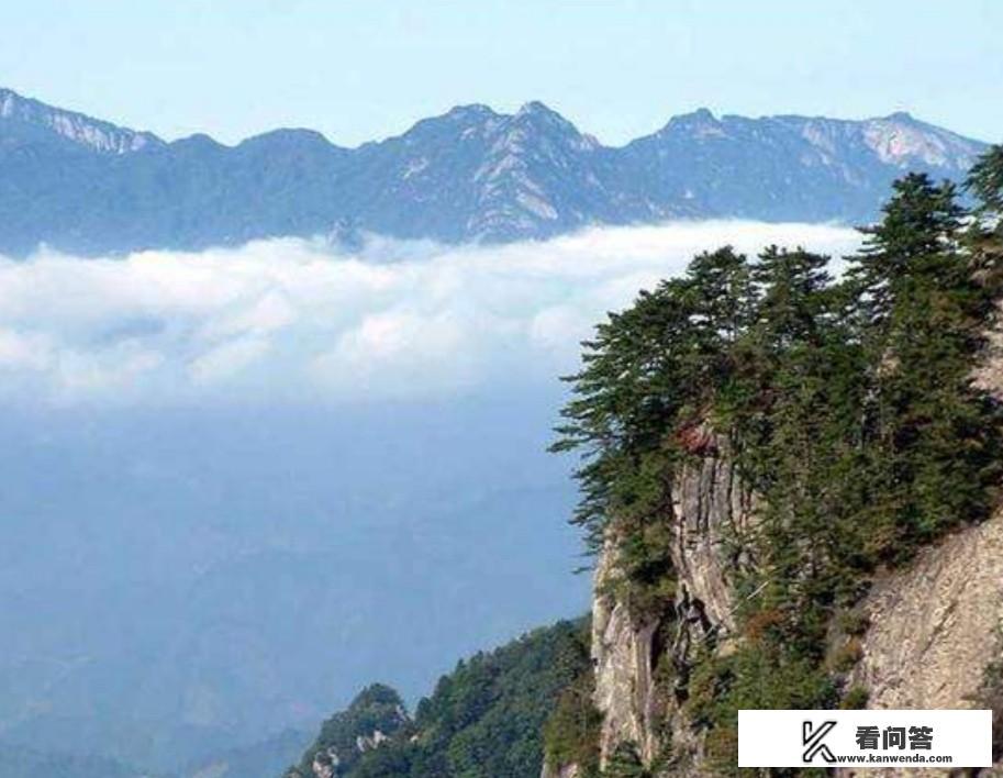 白云山是正规厂家吗？