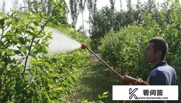 磷酸二氢钾怎样使用会更好? 磷酸二氢钾怎样使用会更好?