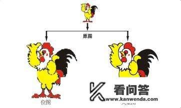 怎样用美图秀秀做校徽设计？