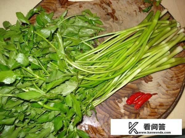 周作人故乡的野菜原文？