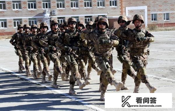 中国特种部队装备都有什么？